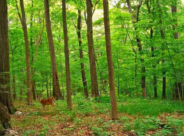 完成新冠疫苗接种后