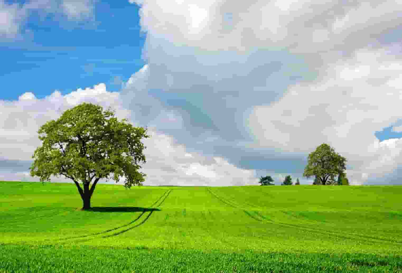 2021年3月生宝宝五行