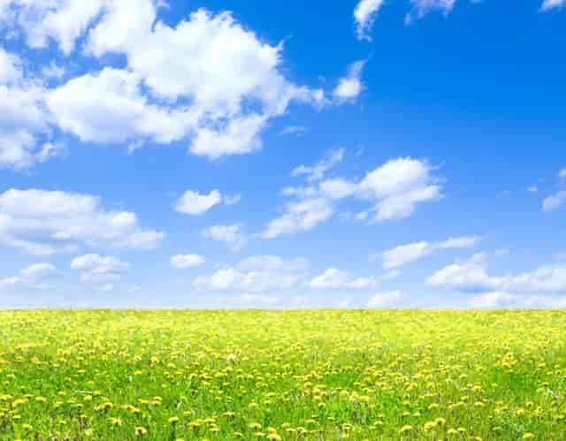 教师岗和事业单位考试