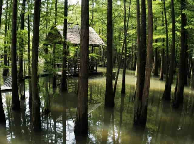双节同庆来文景府，萌娃出动即将掀起欢乐浪潮