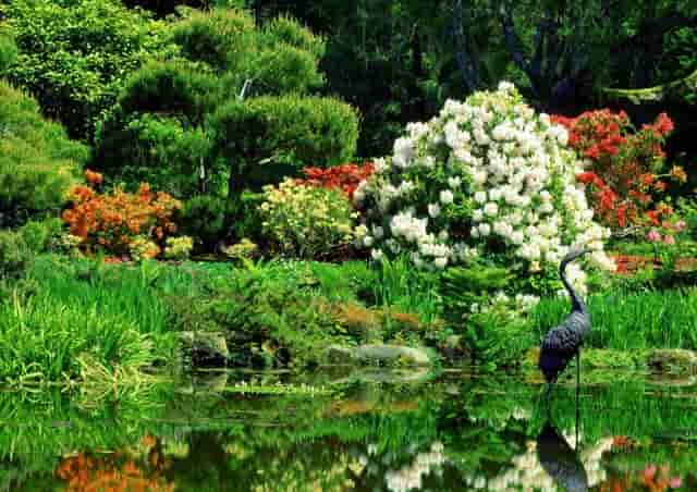 如何知道你是否有癌症