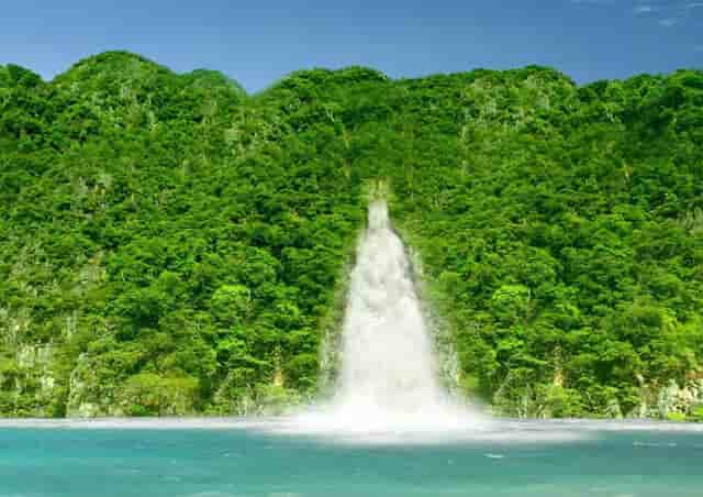 共享环保取袋机非你莫属