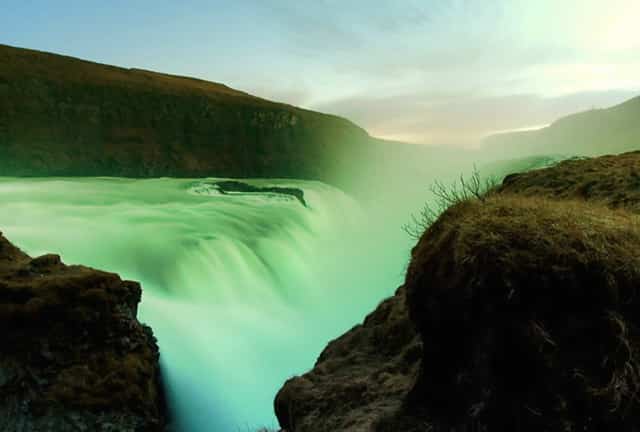 袖虎的十大宠物禁忌食品警告!