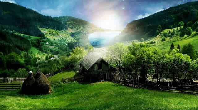 天气太热不好生长，4种害怕强光的植株，看看有你养的吗