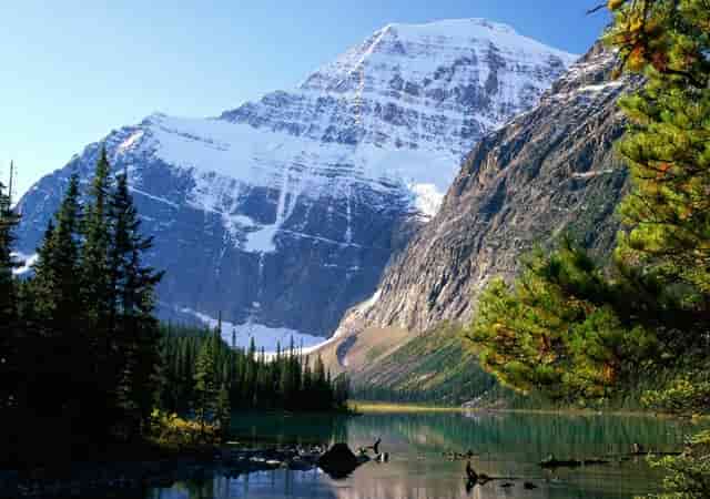 全身黑，竟然能让颜值飙升？飒爆了！