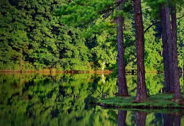 靶向药新星·拉罗替尼不限癌种（Larotrectinib，LOXO-101）