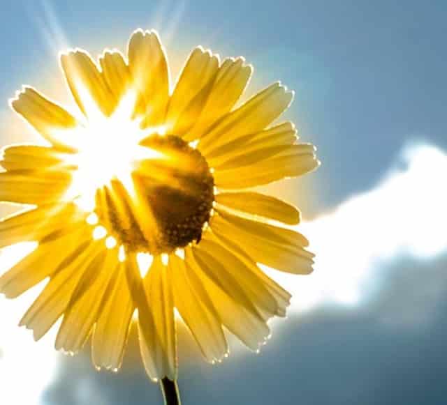 沃尔沃车型服务平台