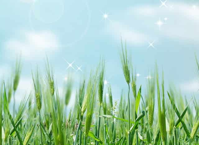 欧洲杯英格兰进了几球