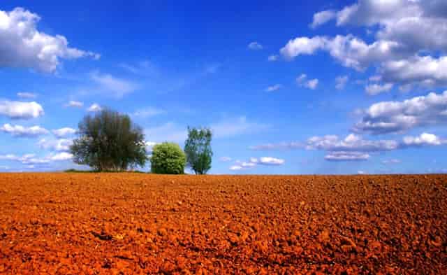新冠疫苗打了会不会被感染