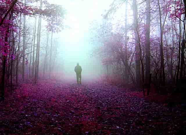 永劫无间点击进入屏幕没反应