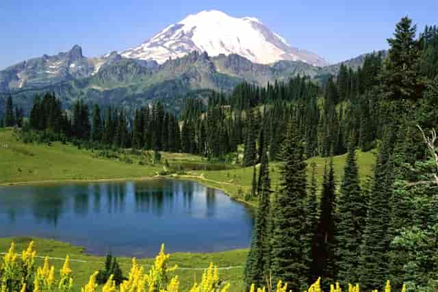 夫妻突然入院，相继查出脑梗！医生怒斥：这2种食物怎能常吃？