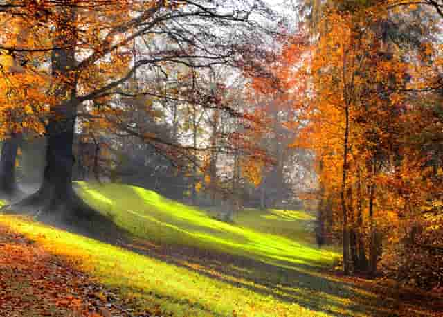 晚间上市公司十大重磅公告