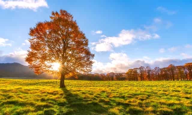 英格兰输球苏格兰放假一天