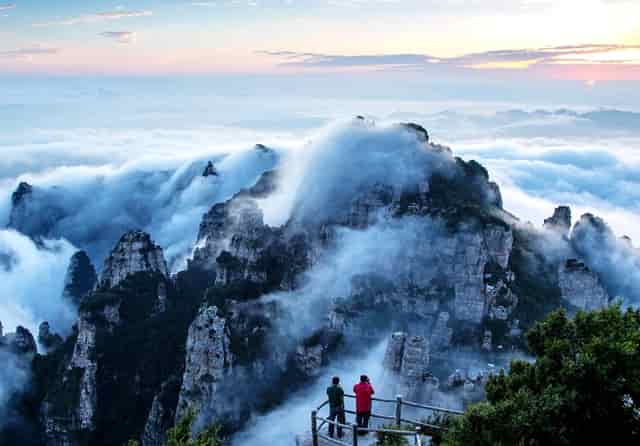 袖虎病狗攻略：狗瘟的症状你了解吗？