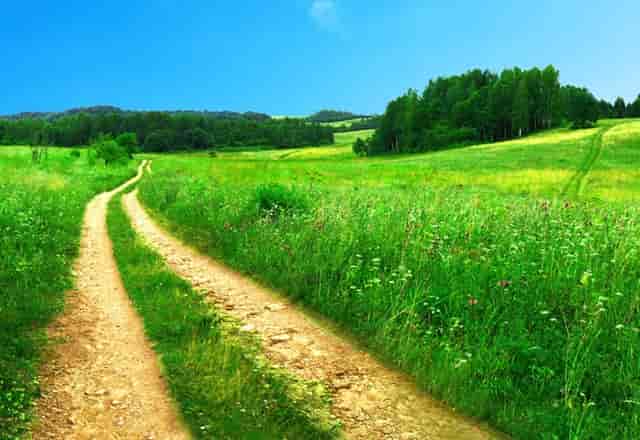 家居反传销：为什么传销人员会盯住大学生