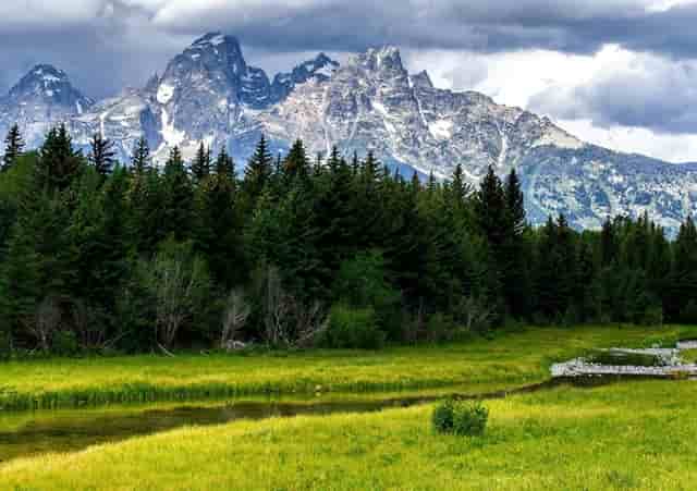 袖虎的建议，你的猫难看怎么办？