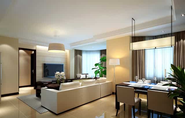 袖虎病猫攻略：猫咪突然乱拉屎怎么办