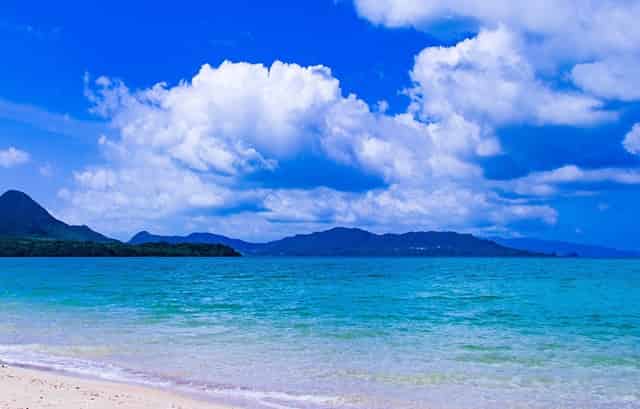 一树桃花开兵哥哥