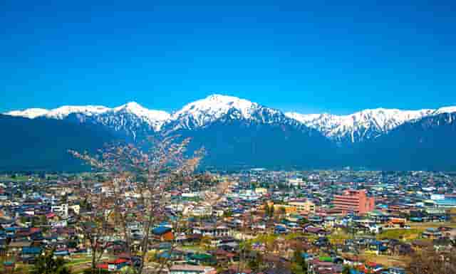 袖虎病猫攻略：感染猫绦虫不要慌，袖虎宠物教你来驱虫