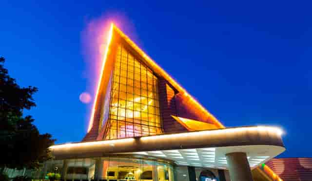 袖虎病猫攻略：加菲猫为什么一直流眼泪