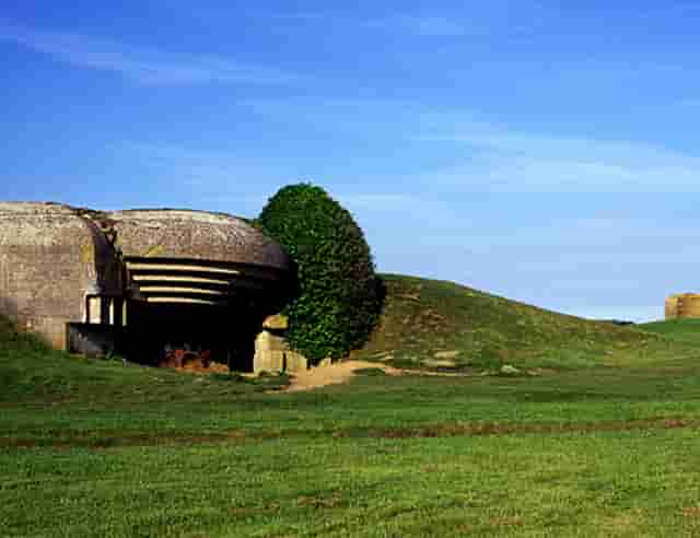 2020奥运会中国女篮vs澳大利亚(2020年中国女篮和澳大利亚)