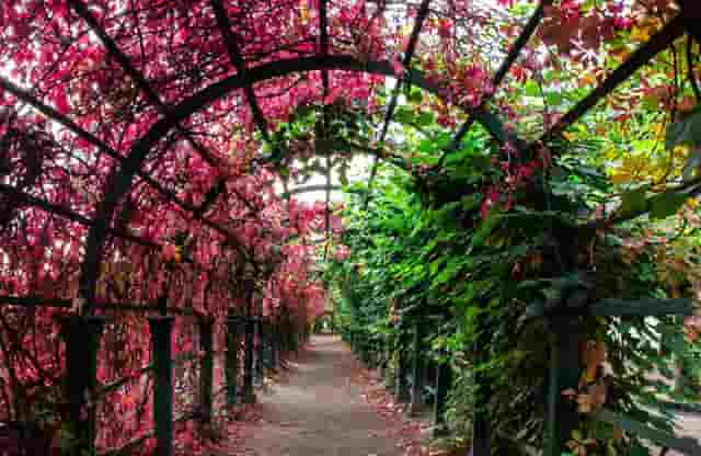 有限公司和股份控股有什么区别(国药控股股份湖北有限公司)