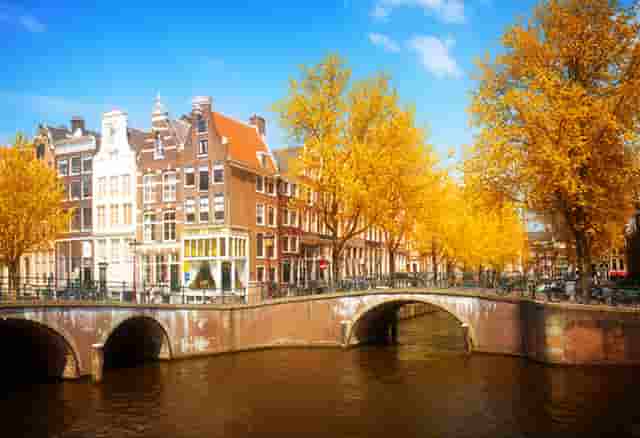 被人拉黑怎么设置才不让他看见