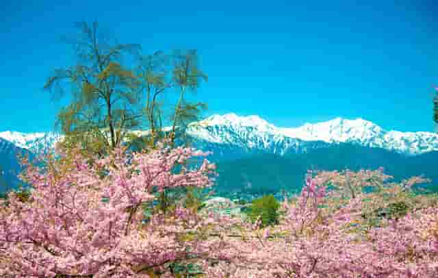 时尚黑白人像摄影技巧(黑白人像摄影大师照片)