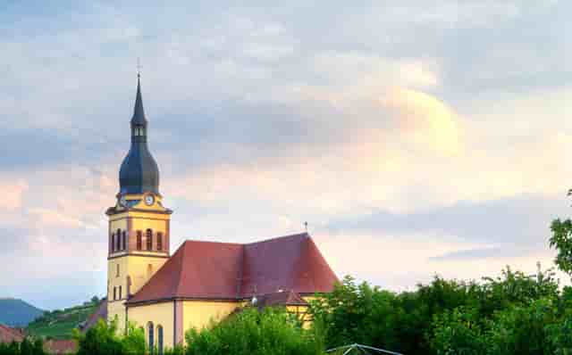 袖虎病狗攻略：狗狗泪痕重怎么办？