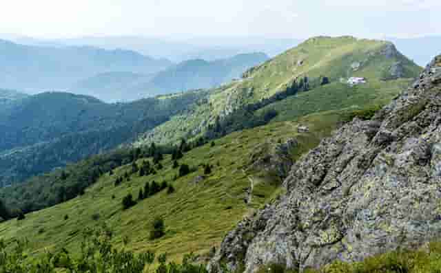 中国外贸快速增长(中国快速增长的行业)