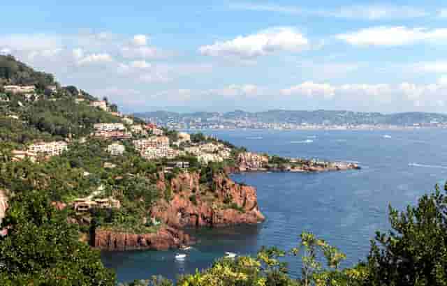 袖虎病猫攻略： 猫咪生病不吃东西怎么办？