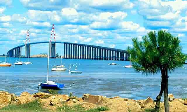 袖虎病猫攻略：折耳猫一定会发病吗？