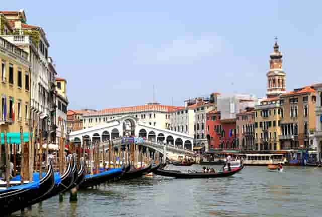 袖虎病狗攻略：犬心丝虫有多可怕？