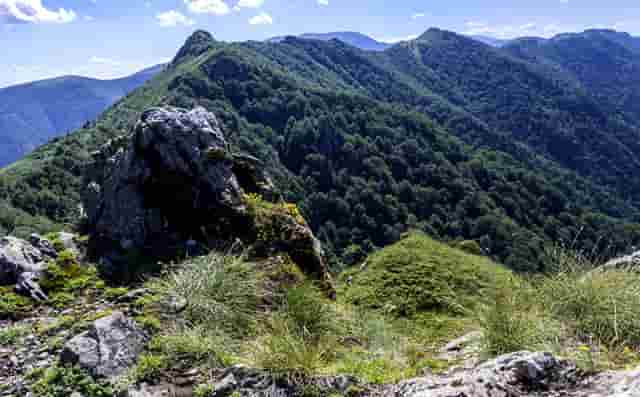 时尚软文营销技巧(写出软文营销的技巧)