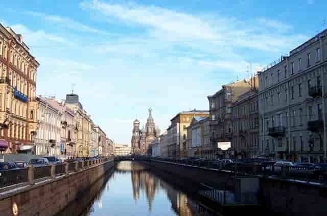 袖虎病猫攻略：为什么要给猫做绝育