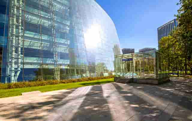 袖虎病猫攻略：猫咪发情原因