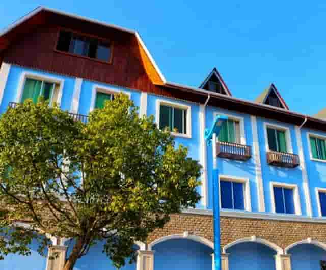 袖虎病猫攻略：公猫不愿与母猫交配怎么办