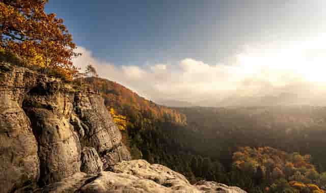 具有热量的食物(含热量高的食物有哪些)