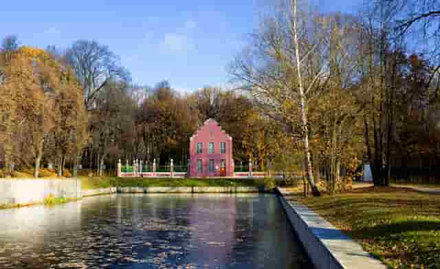 袖虎病猫攻略：猫咪肠梗阻的症状