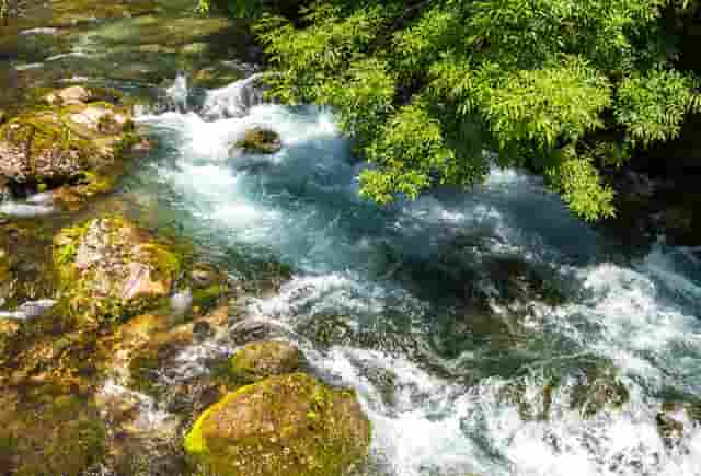 袖虎宠物传授品牌宠物店如何解决臭味问题！