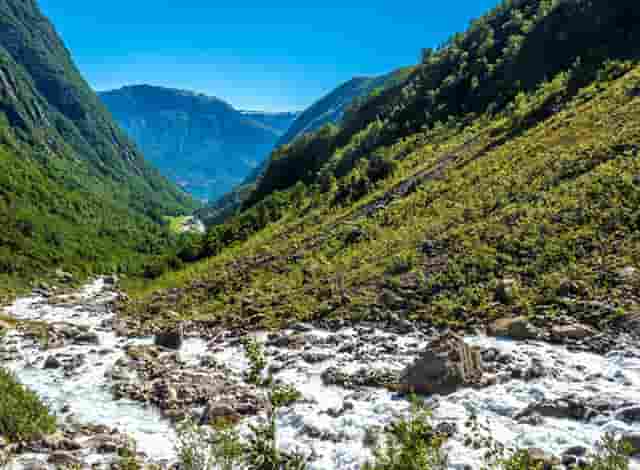 树林时尚大片拍摄技巧