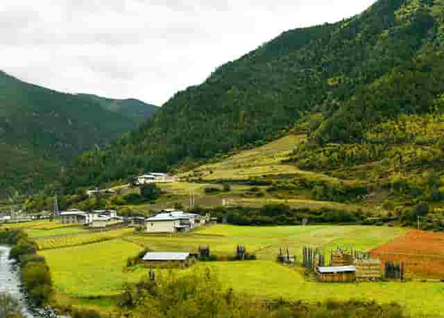 袖虎病猫攻略：猫咪秋季常患疾病