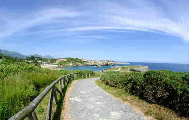 为什么有人可以不买保险(为什么不买保险的理由)