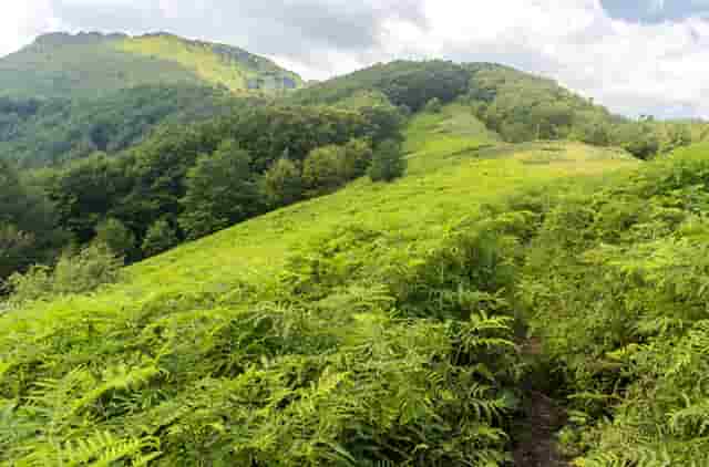 时尚博主叠穿技巧(时尚博主穿搭排行榜女)