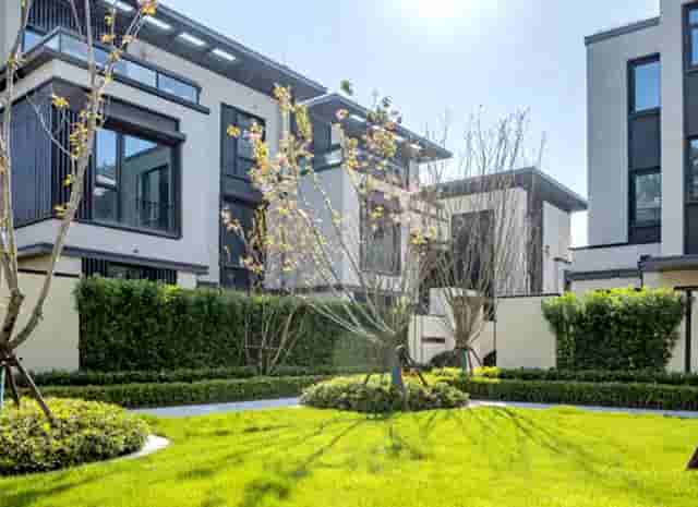 袖虎病猫攻略：猫咪消化不良的症状及治疗